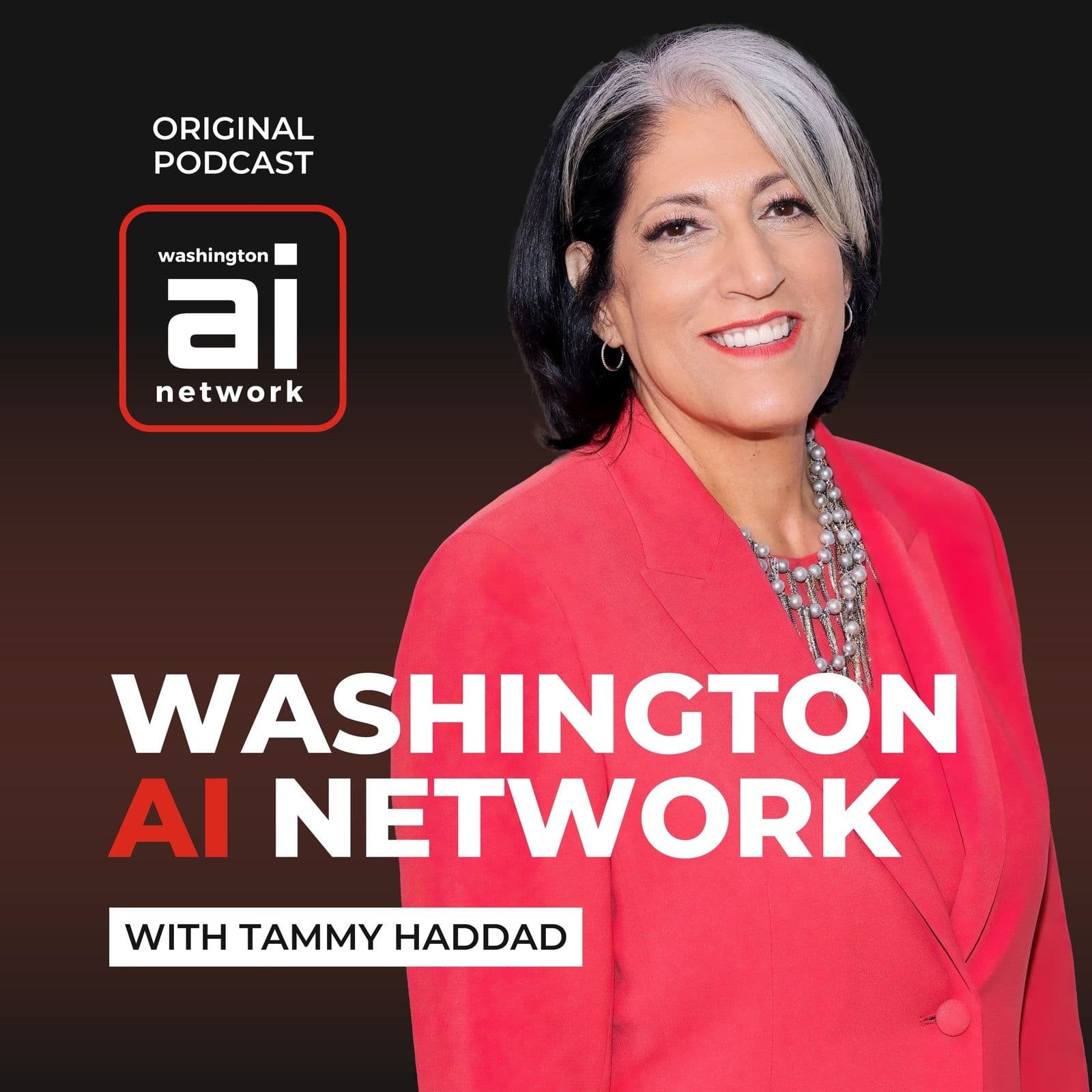 Washington AI Network with Tammy Haddad podcast cover art