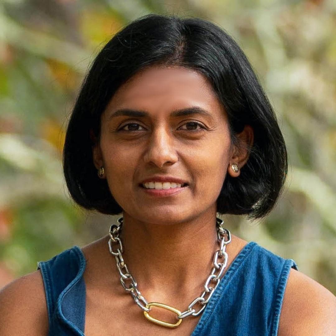 169 | Data Conversations with Vidya Setlur